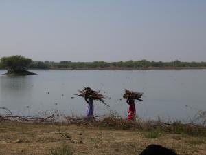 Menar Kishan Kareri  Sitamata Wildlife Sanctuary (3)
